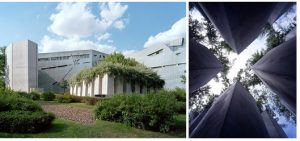 نمونه موردی موزه یهود برلین